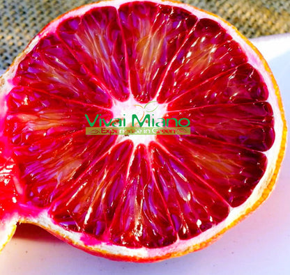 Szivárvány Narancs Növény