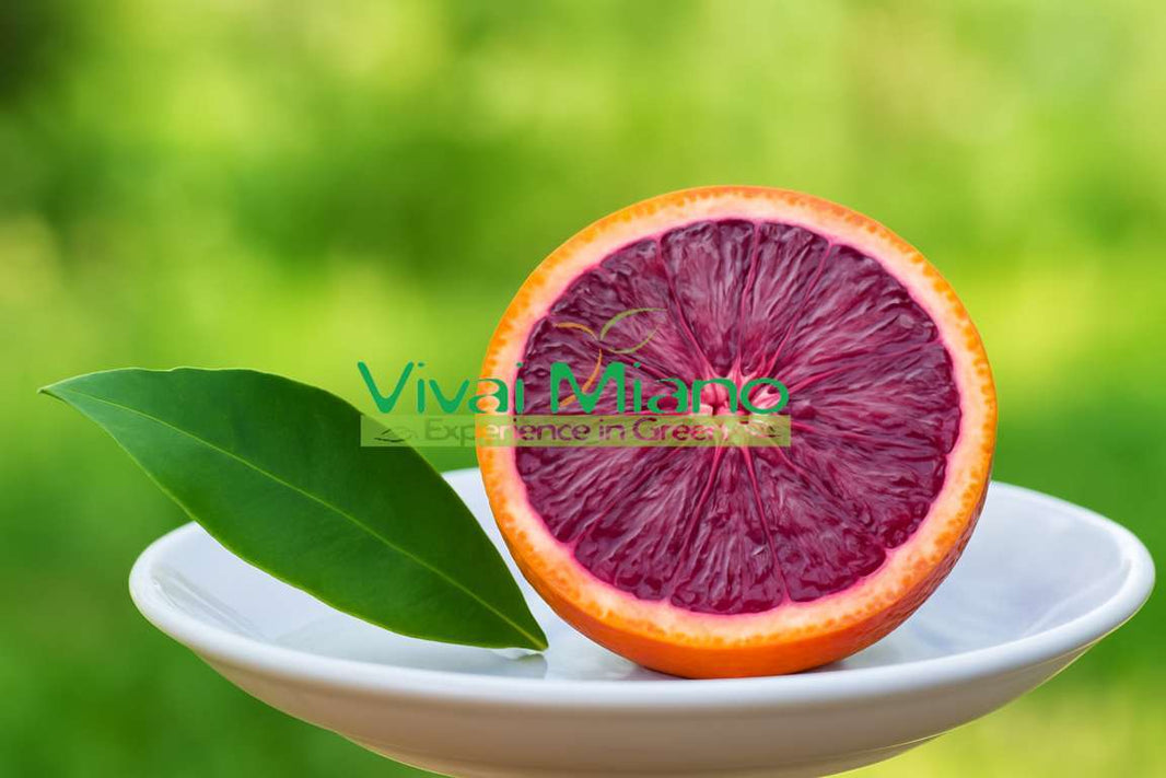 Moro narancsfák vagy szicíliai vörös narancs