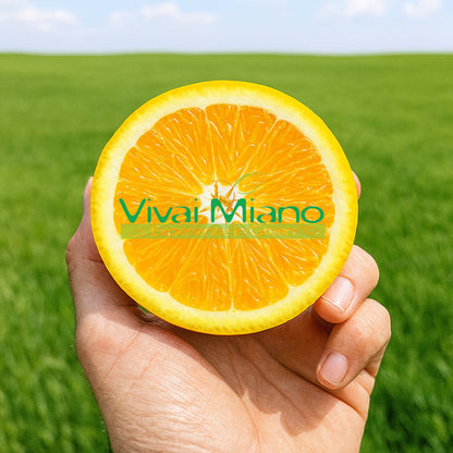 Lane Late narancsfatövek