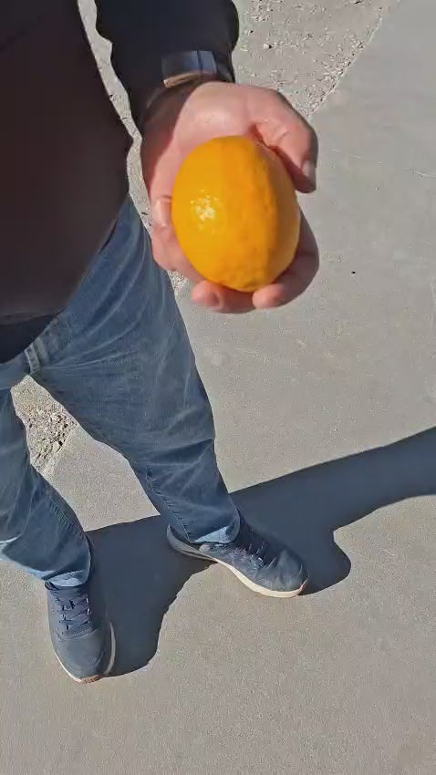 Videó feltöltése: 