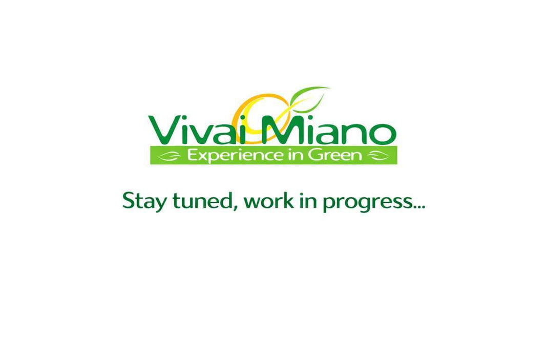 Kalamondin növény (35-ös cserép)